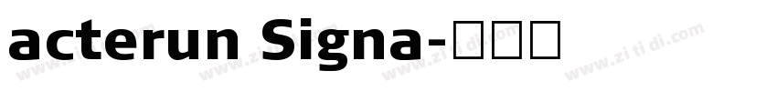 acterun Signa字体转换